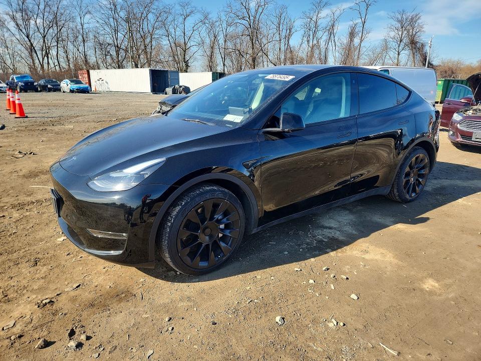 Продаж на аукціоні авто 2023 Tesla Model Y, vin: 7SAYGDEE3PF607258, номер лоту: 78876495