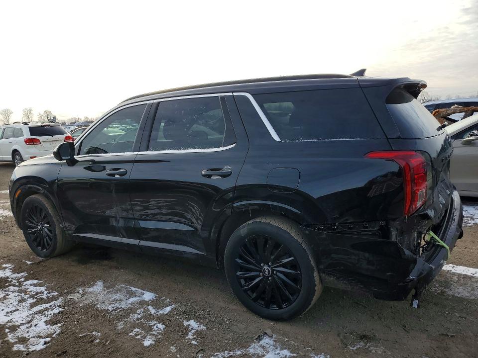 Aukcja sprzedaży 2025 Hyundai Palisade, vin: KM8R5DGE3SU873976, numer aukcji: 46218476