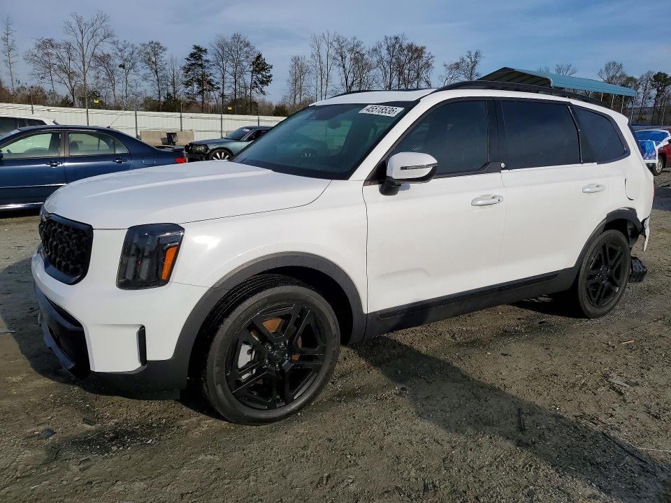 Aukcja sprzedaży 2025 Kia Telluride, vin: 5XYP3DGCXSG613205, numer aukcji: 45518536