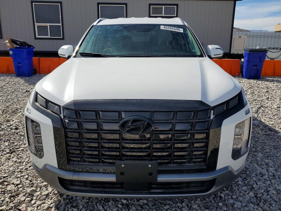 Aukcja sprzedaży 2024 Hyundai Palisade, vin: KM8R2DGE3RU741867, numer aukcji: 46266596