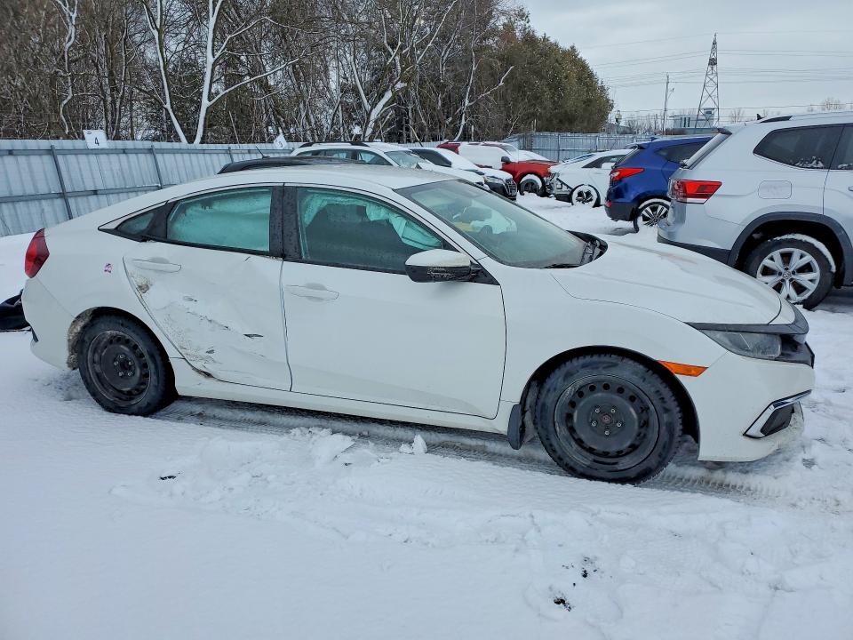 41951166 :رقم المزاد ، 2HGFC2F56LH017872 vin ، 2020 Honda Civic مزاد بيع