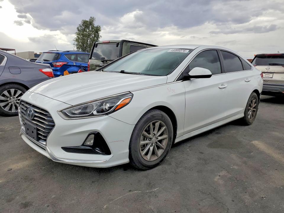 Продаж на аукціоні авто 2019 Hyundai Sonata, vin: 5NPE24AF1KH775794, номер лоту: 48069376