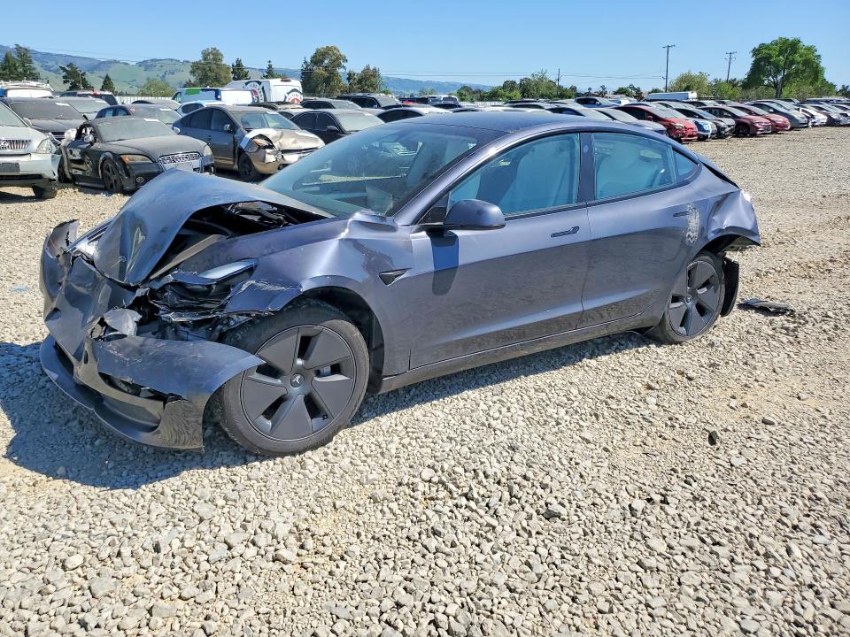 46410396 :رقم المزاد ، 5YJ3E1EA8PF619902 vin ، 2023 Tesla Model 3 مزاد بيع