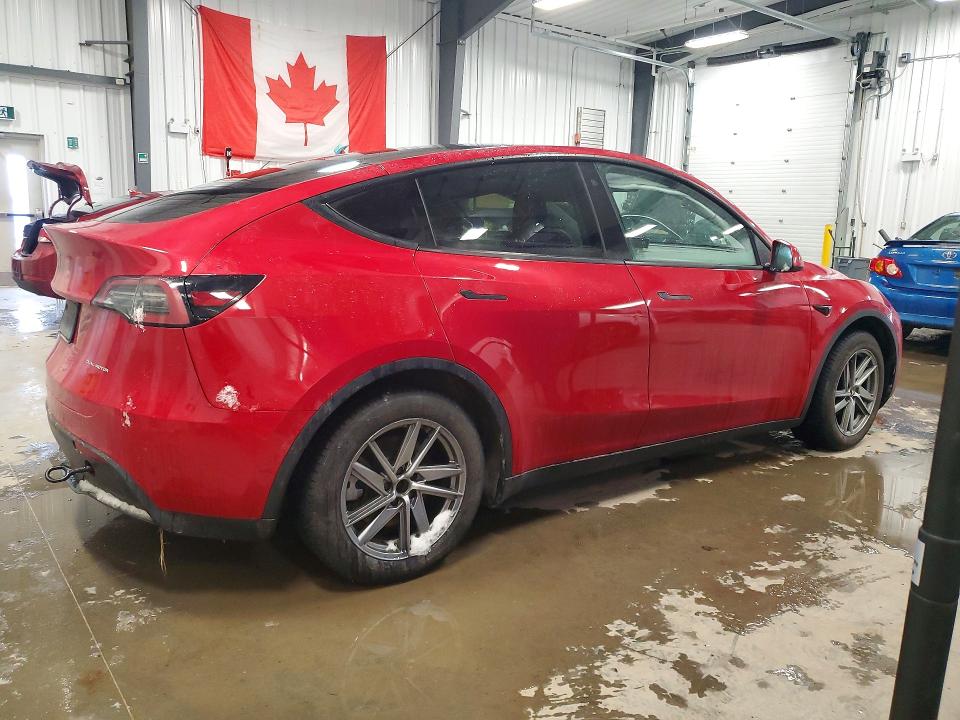 46459246 :رقم المزاد ، 5YJYGDEE9MF297500 vin ، 2021 Tesla Model Y مزاد بيع