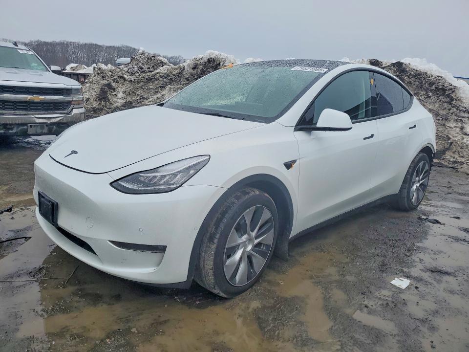 Продаж на аукціоні авто 2021 Tesla Model Y, vin: 5YJYGDEE1MF258478, номер лоту: 79521885