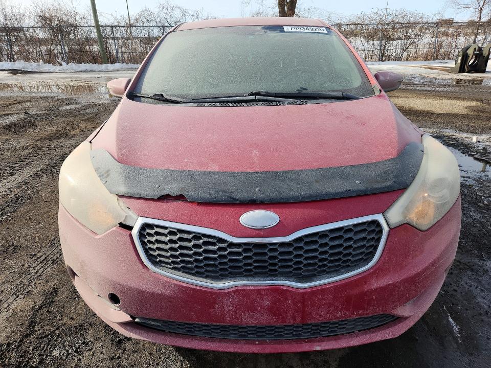 Продаж на аукціоні авто 2014 Kia Forte, vin: KNAFX4A87E5058938, номер лоту: 79934925