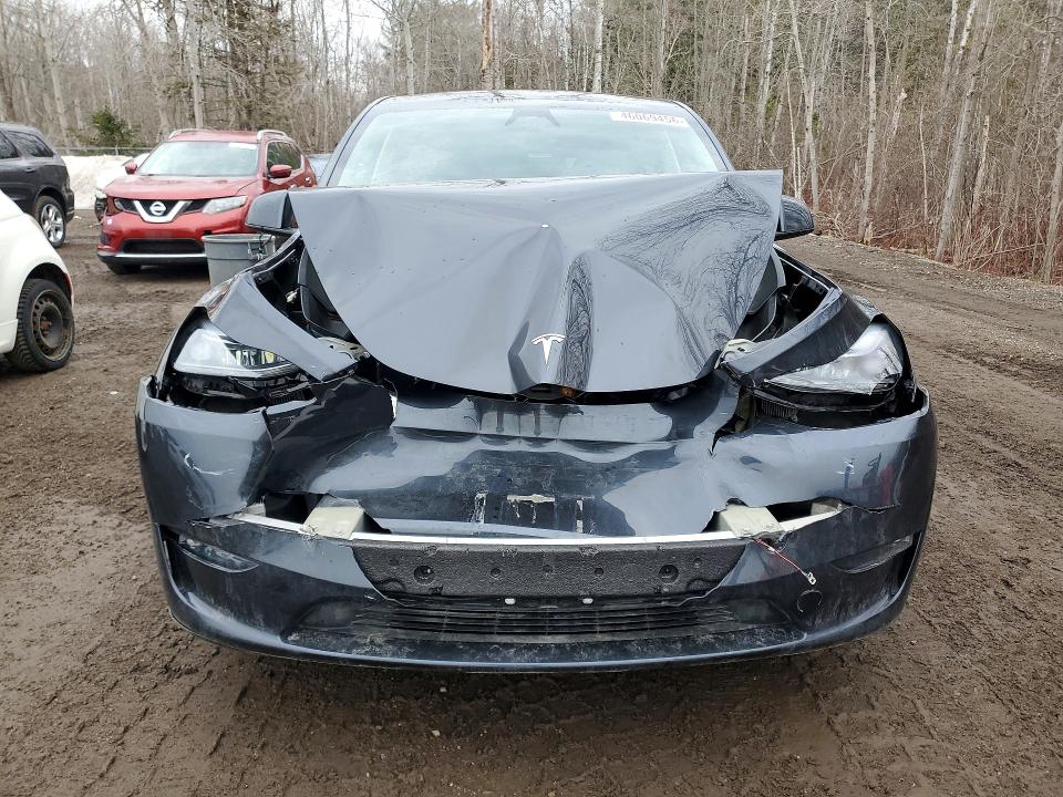 Продаж на аукціоні авто 2024 Tesla Model Y, vin: 7SAYGDEE3RF203640, номер лоту: 46069456