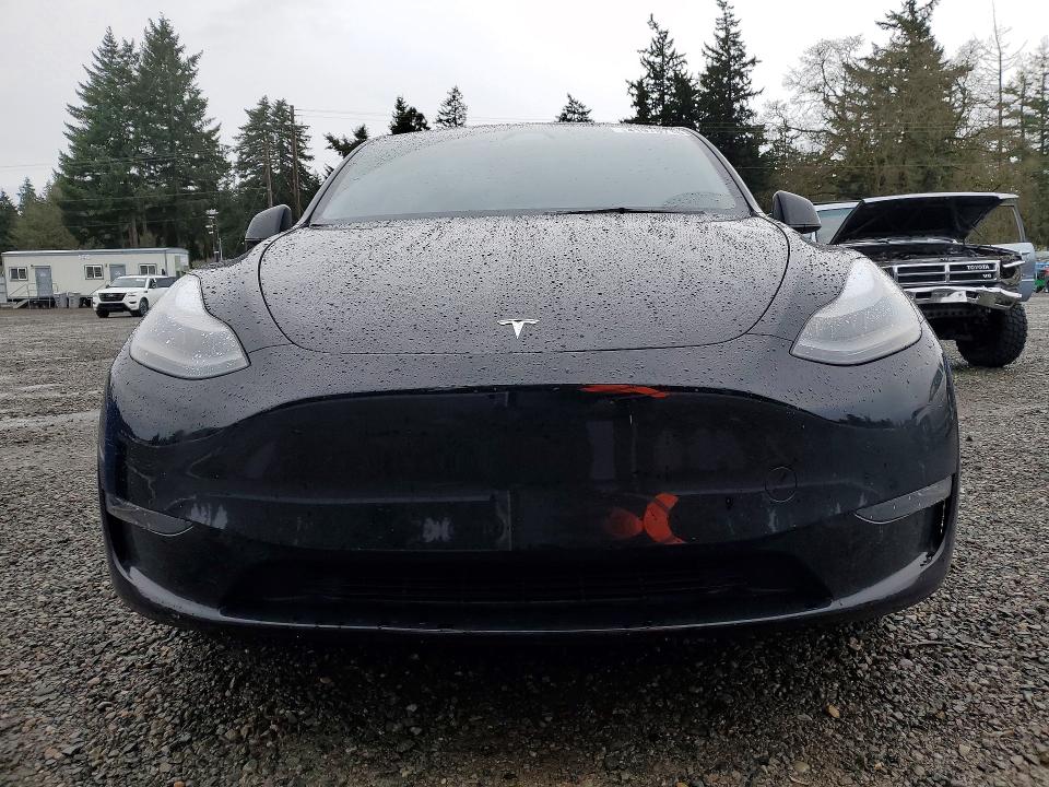 Aukcja sprzedaży 2024 Tesla Model Y, vin: 7SAYGDEE3RF075884, numer aukcji: 41976716