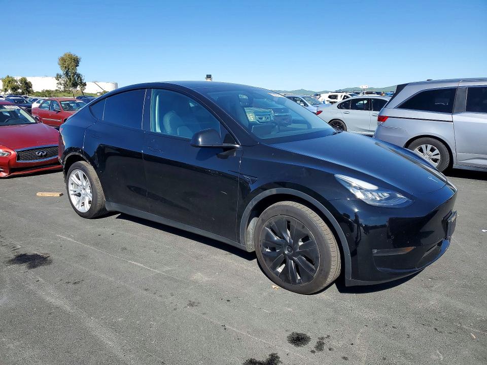 79248135 :رقم المزاد ، 5YJYGDEE4MF281916 vin ، 2021 Tesla Model Y مزاد بيع