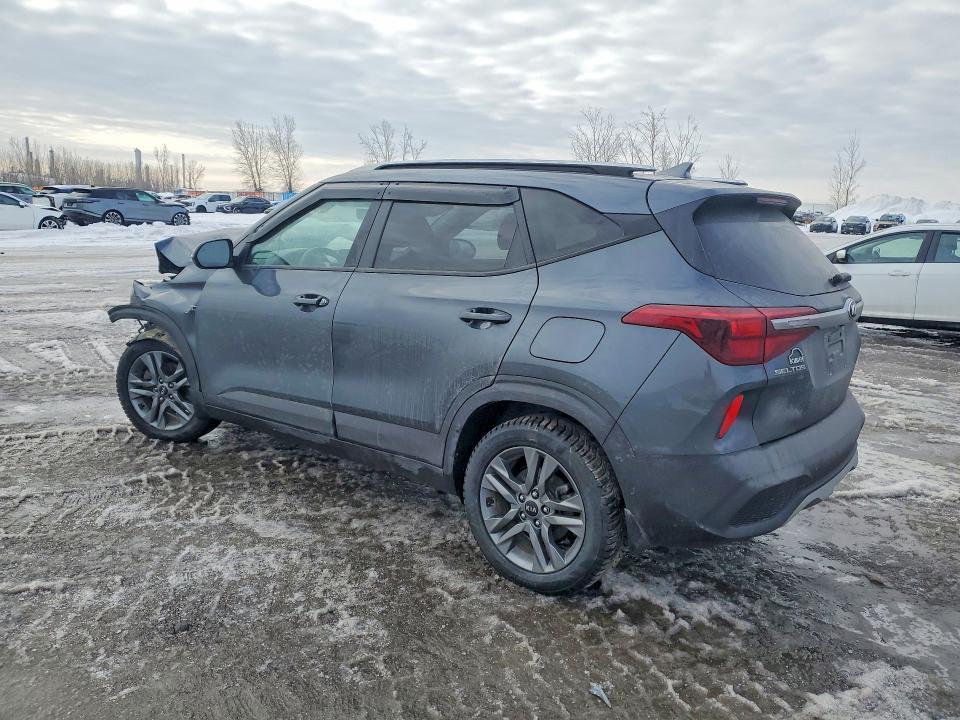 Aukcja sprzedaży 2021 Kia Seltos, vin: KNDEPCAA1M7050249, numer aukcji: 79768985