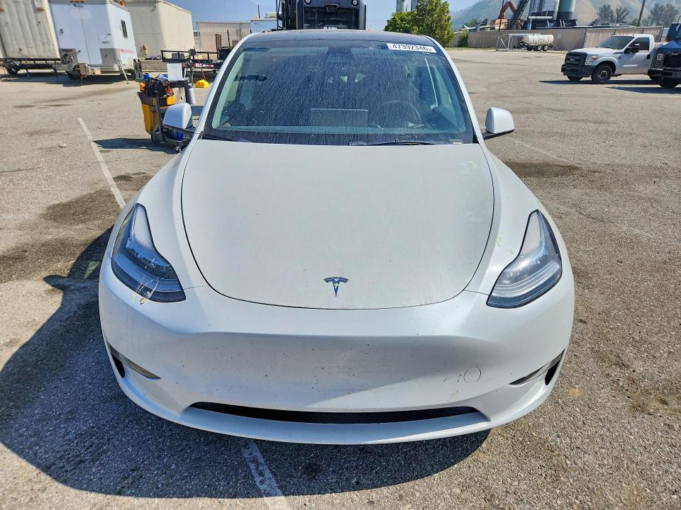 Продаж на аукціоні авто 2023 Tesla Model Y, vin: 7SAYGDEE5PF588566, номер лоту: 47392346