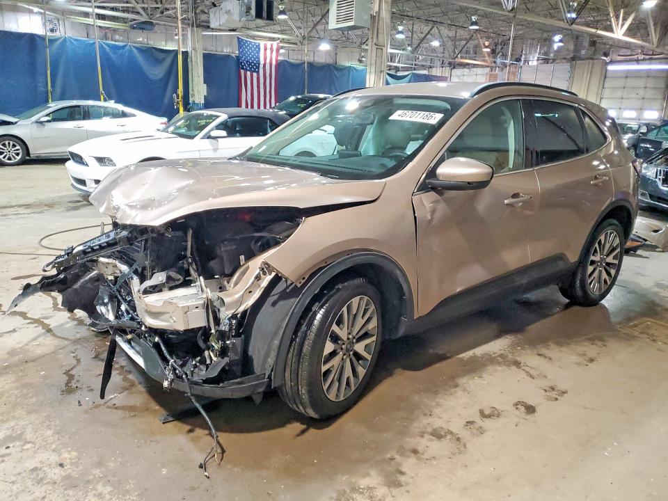 Auction sale of the 2021 Ford Escape, vin: 1FMCU9J90MUA86567, lot number: 46701186