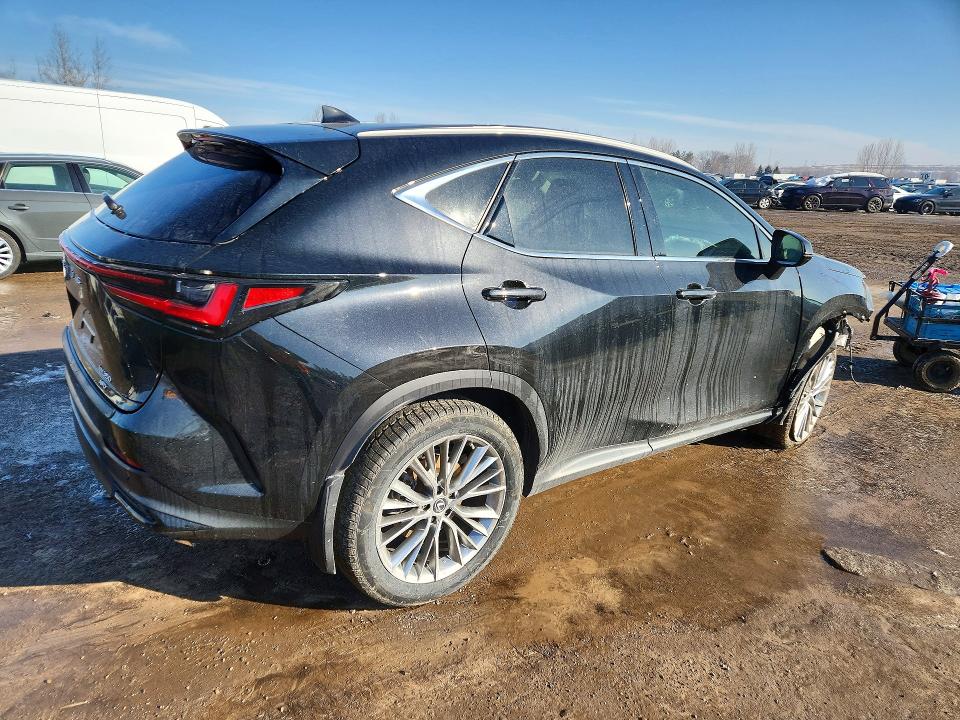 79281535 :رقم المزاد ، 2T2GGCEZ5PC022073 vin ، 2023 Lexus Nx 350 مزاد بيع