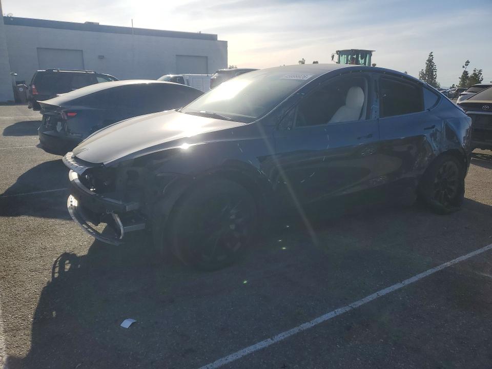 Продажа на аукционе авто 2025 Tesla Model Y, vin: 7SAYGDED4SA377758, номер лота: 45999926
