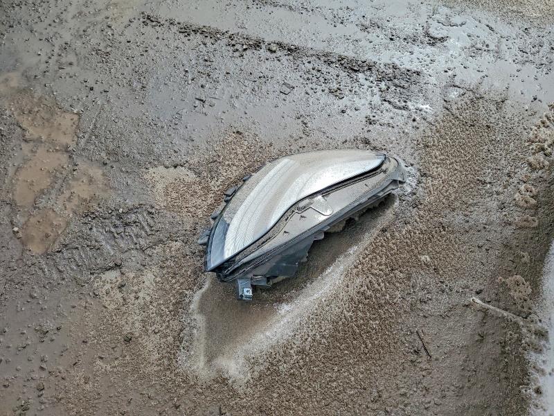 45764056 :رقم المزاد ، 5YJ3E1EA8PF407257 vin ، 2023 Tesla Model 3 مزاد بيع
