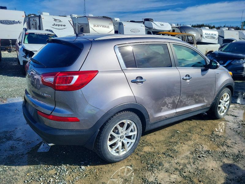 Продаж на аукціоні авто 2013 Kia Sportage, vin: KNDPCCA66D7388438, номер лоту: 77674765