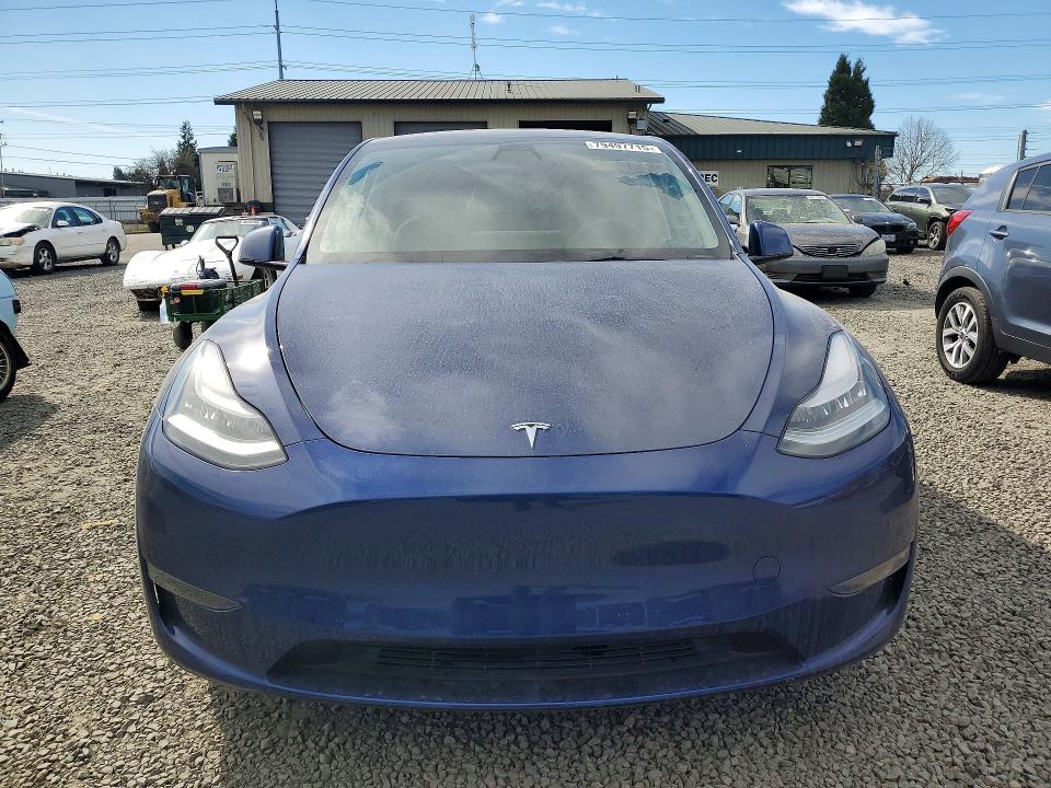 2021 Tesla Model Y მანქანა იყიდება აუქციონზე, vin: 5YJYGDEE0MF114923, აუქციონის ნომერი: 79497715