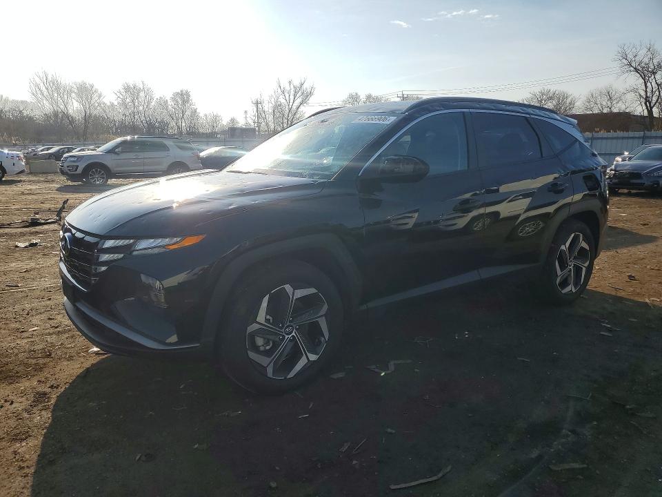 47666906 :رقم المزاد ، 5NMJB3DE1RH423009 vin ، 2024 Hyundai Tucson مزاد بيع
