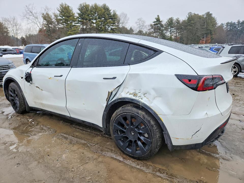Продажа на аукционе авто 2023 Tesla Model Y, vin: 7SAYGDEE0PA024711, номер лота: 79665325
