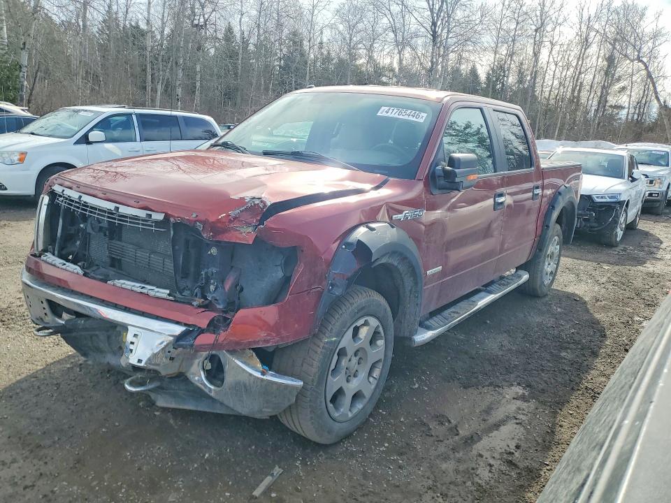 Auction sale of the 2014 Ford F150, vin: 1FTFW1ET8EKG00424, lot number: 41765446