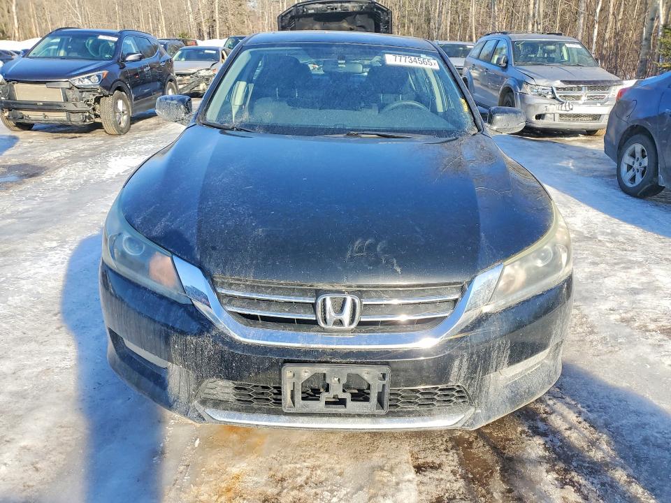 Продаж на аукціоні авто 2015 Honda Accord, vin: 1HGCR2F55FA803814, номер лоту: 77734565