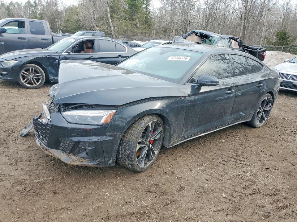 2023 Audi S5 მანქანა იყიდება აუქციონზე, vin: WAUB4CF50PA006383, აუქციონის ნომერი: 47064516