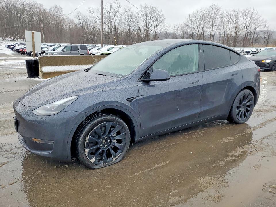 Продажа на аукционе авто 2024 Tesla Model Y, vin: 7SAYGDEE7RA248495, номер лота: 79615775