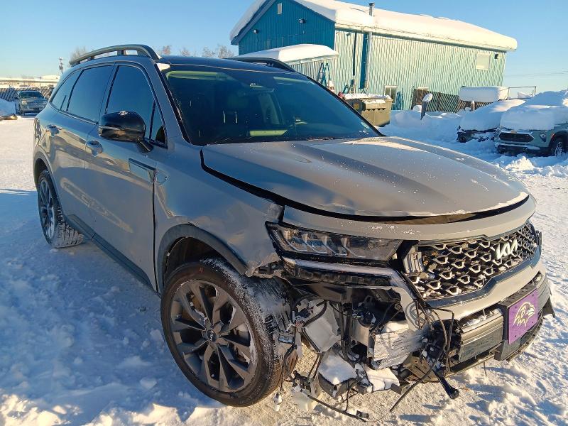 Aukcja sprzedaży 2023 Kia Sorento, vin: 5XYRHDLF7PG180587, numer aukcji: 79088385