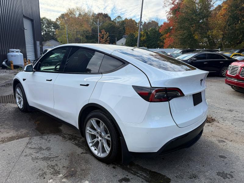 42066266 :رقم المزاد ، 5YJYGDEE5MF295078 vin ، 2021 Tesla Model Y مزاد بيع