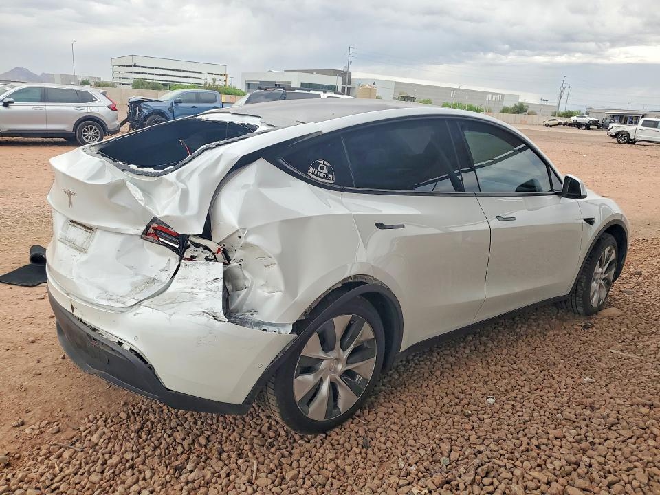 48295596 :رقم المزاد ، 5YJYGDED4MF105505 vin ، 2021 Tesla Model Y مزاد بيع