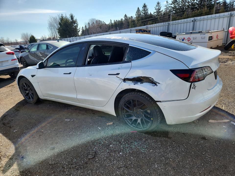 Продаж на аукціоні авто 2021 Tesla Model 3, vin: 5YJ3E1EA3MF856941, номер лоту: 46189726