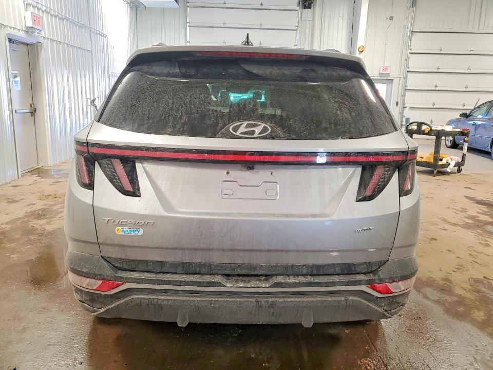 Продаж на аукціоні авто 2023 Hyundai Tucson, vin: 5NMJBCAE2PH203380, номер лоту: 45745436