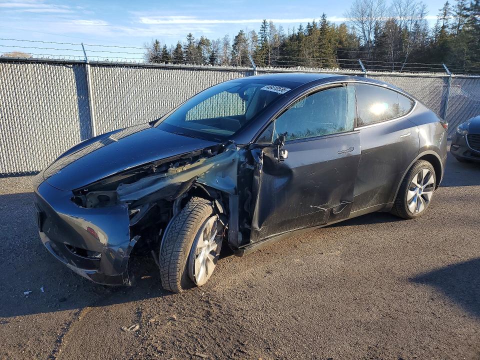 2024 Tesla Model Y მანქანა იყიდება აუქციონზე, vin: 7SAYGDEE5RF989313, აუქციონის ნომერი: 46410556