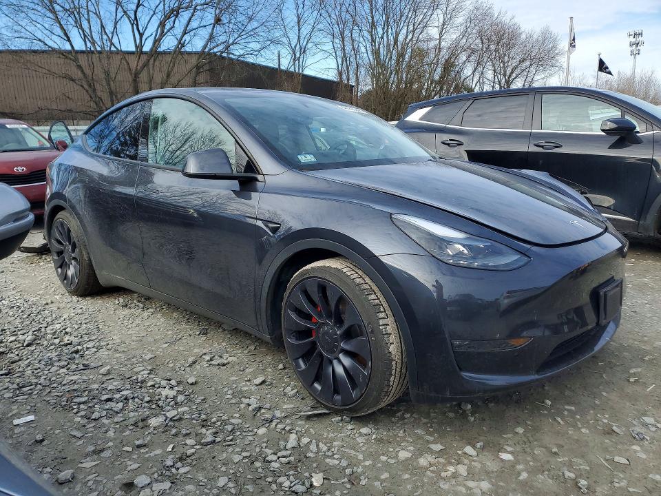 Продажа на аукционе авто 2024 Tesla Model Y, vin: 7SAYGDEF9RA265095, номер лота: 46195346