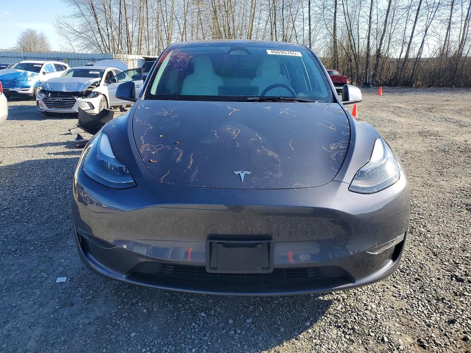 Продаж на аукціоні авто 2023 Tesla Model Y, vin: 7SAYGAEE9PF906719, номер лоту: 48096766