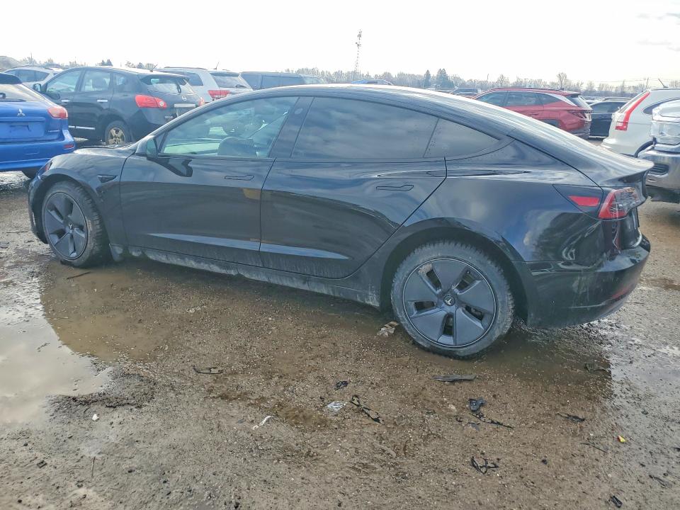 Продаж на аукціоні авто 2023 Tesla Model 3, vin: LRW3E1EB4PC932495, номер лоту: 79600305
