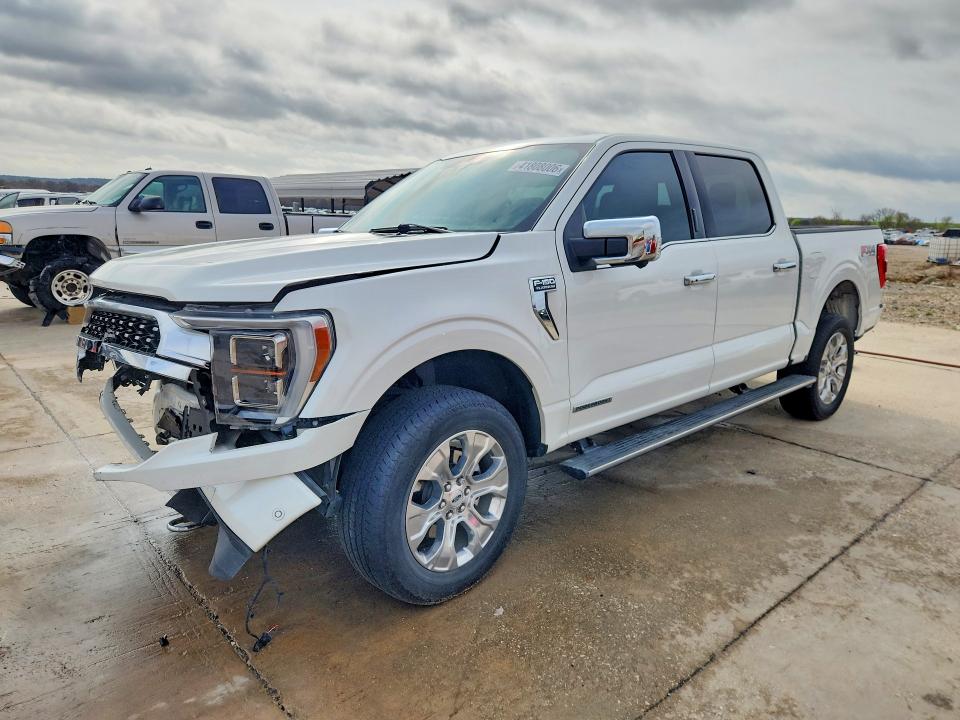 Продажа на аукционе авто 2023 Ford F150, vin: 1FTFW1ED7PFA09957, номер лота: 41808006