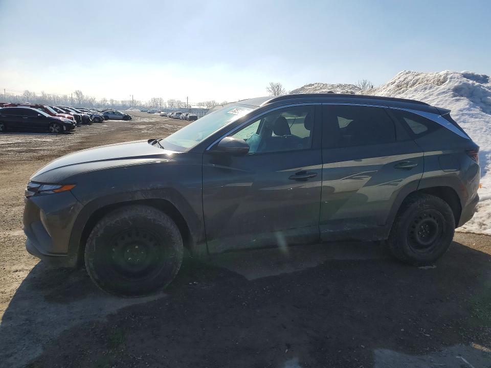 Auction sale of the 2024 Hyundai Tucson, vin: KM8JBCDE0RU324539, lot number: 79527315