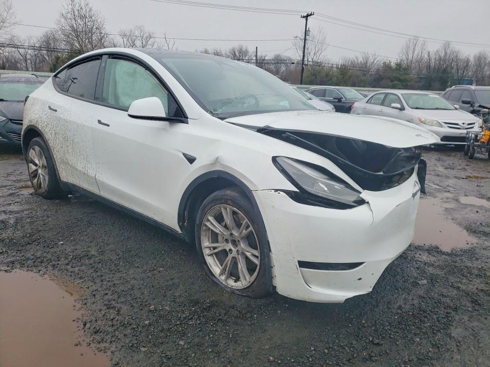 Aukcja sprzedaży 2023 Tesla Model Y, vin: 7SAYGDEE8PF685731, numer aukcji: 79126975