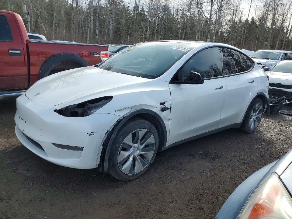 2021 Tesla Model Y მანქანა იყიდება აუქციონზე, vin: 5YJYGDEE0MF194143, აუქციონის ნომერი: 41863186