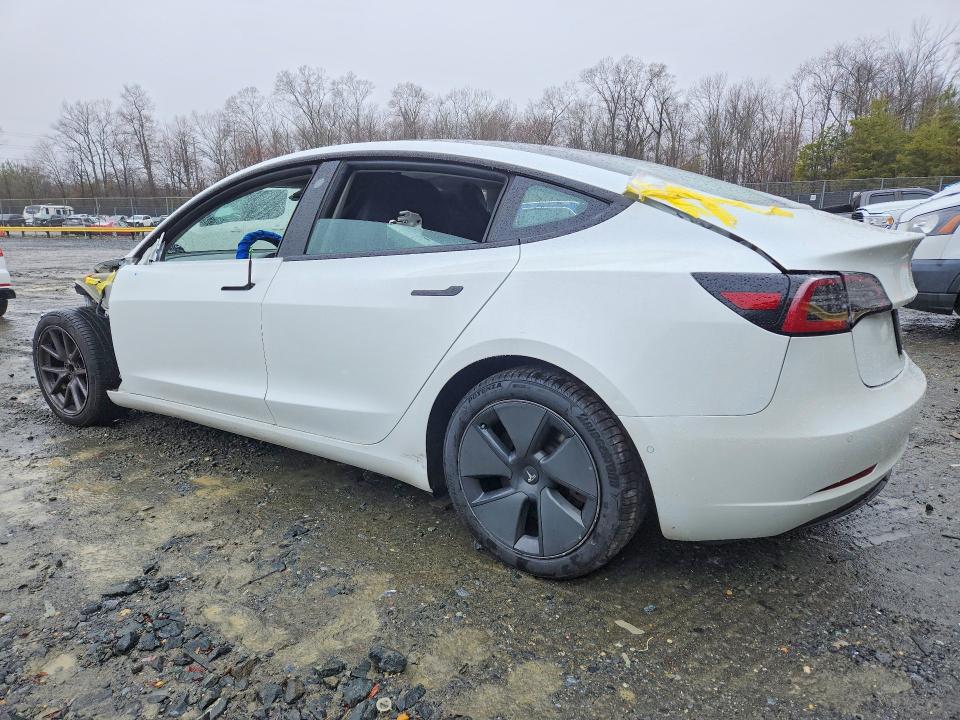 Продаж на аукціоні авто 2021 Tesla Model 3, vin: 5YJ3E1EA3MF097501, номер лоту: 79531465