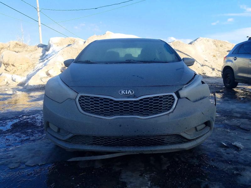Продажа на аукционе авто 2014 Kia Forte, vin: KNAFX4A65E5126295, номер лота: 79160565