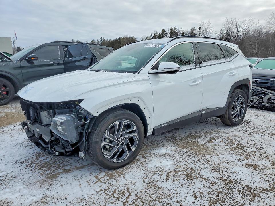 Aukcja sprzedaży 2025 Hyundai Tucson Hybrid, vin: KM8JCDD19SU306076, numer aukcji: 46513886