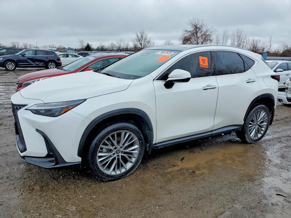 79067545 :رقم المزاد ، 2T2GKCEZ3PC012026 vin ، 2023 Lexus Nx 350h مزاد بيع