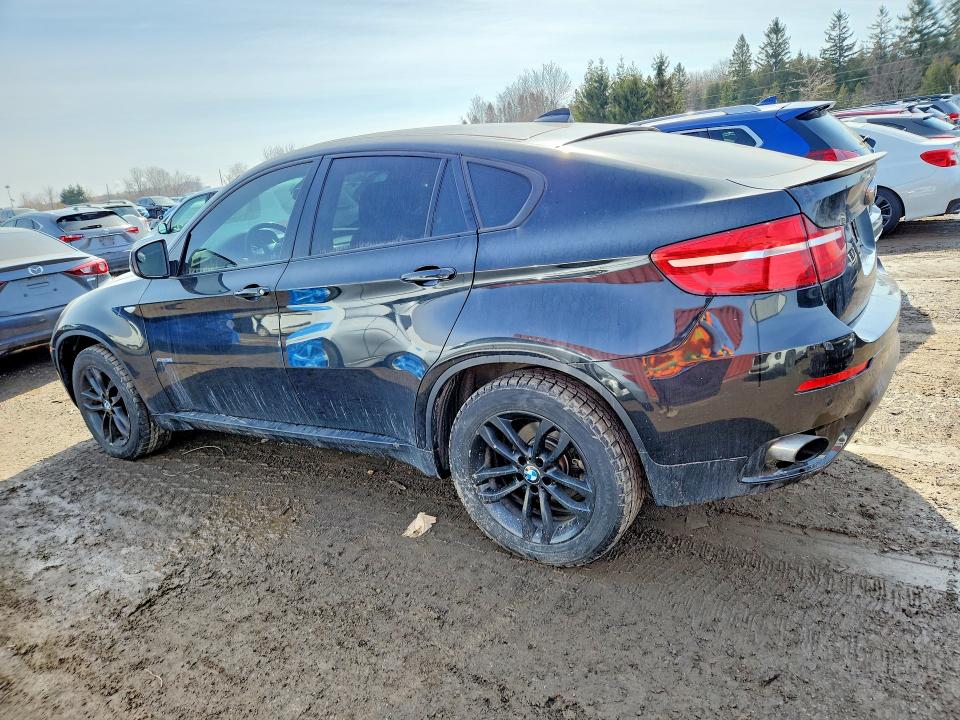 Продажа на аукционе авто 2014 Bmw X6, vin: 5UXFG2C50E0H11358, номер лота: 47070076