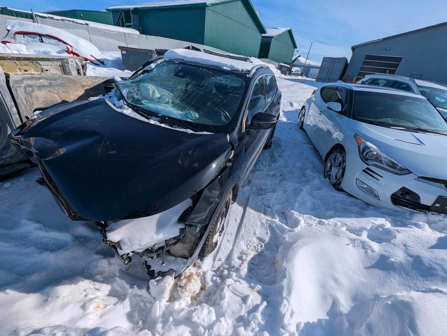 Auction sale of the 2020 Nissan Qashqai, vin: JN1BJ1CW0LW377556, lot number: 75754685