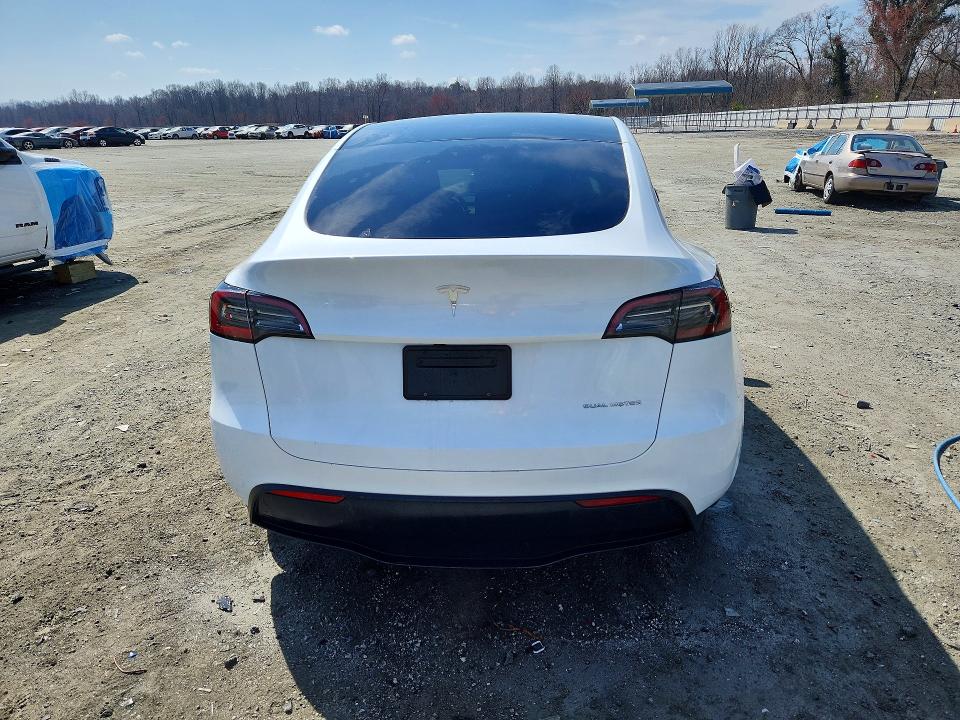 Aukcja sprzedaży 2023 Tesla Model Y, vin: 7SAYGDEE8PA151058, numer aukcji: 41966566