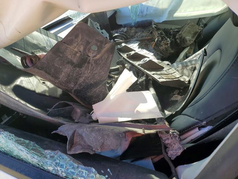 46557936 :رقم المزاد ، 5YJ3E1EA4PF422631 vin ، 2023 Tesla Model 3 مزاد بيع