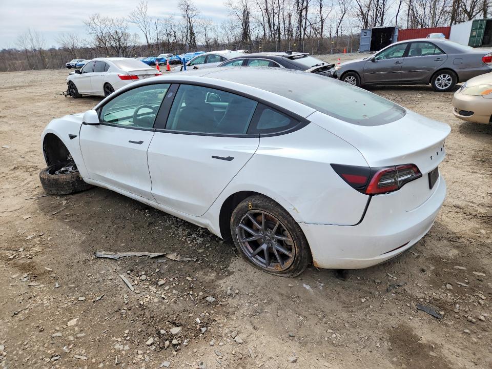 Продажа на аукционе авто 2023 Tesla Model 3, vin: 5YJ3E1EA0PF489842, номер лота: 46853356