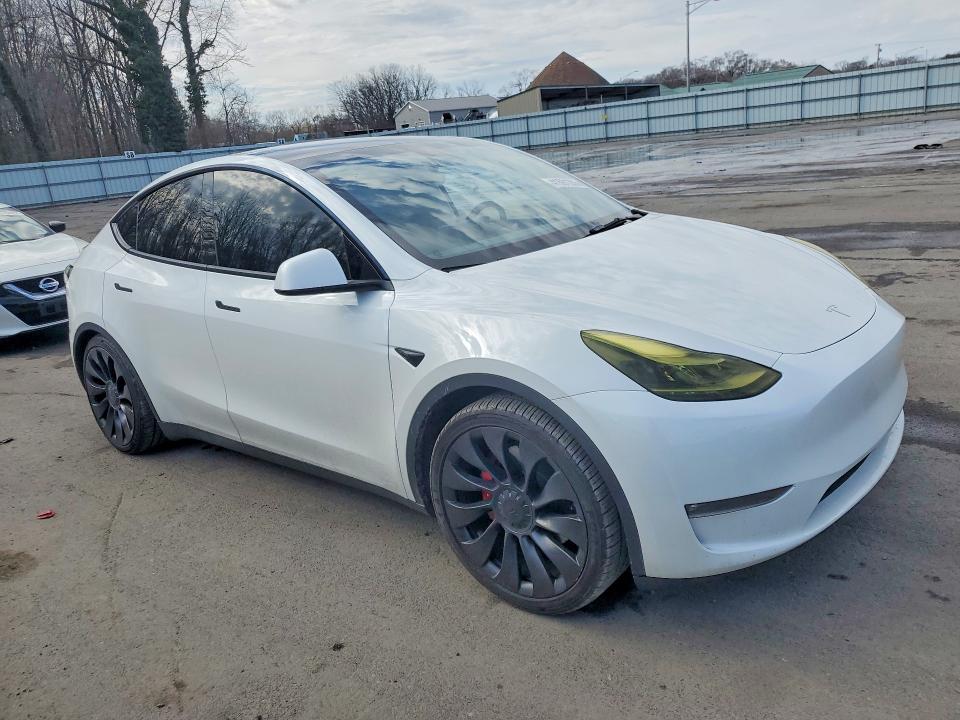 Продаж на аукціоні авто 2023 Tesla Model Y, vin: 7SAYGDEF7PF759570, номер лоту: 41591356